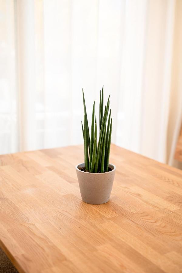 Garden Lodge غارغازون المظهر الخارجي الصورة