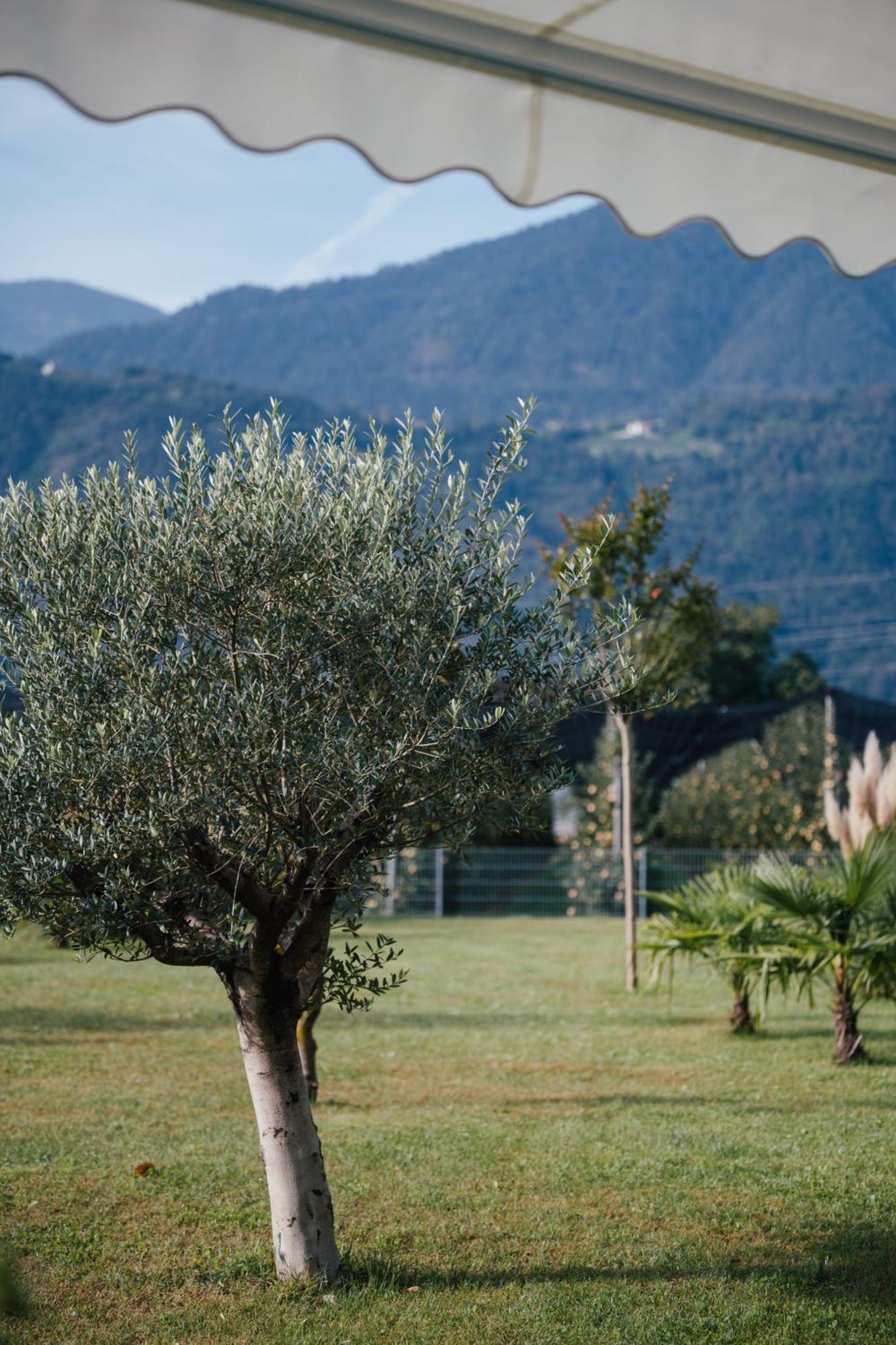 Garden Lodge غارغازون المظهر الخارجي الصورة