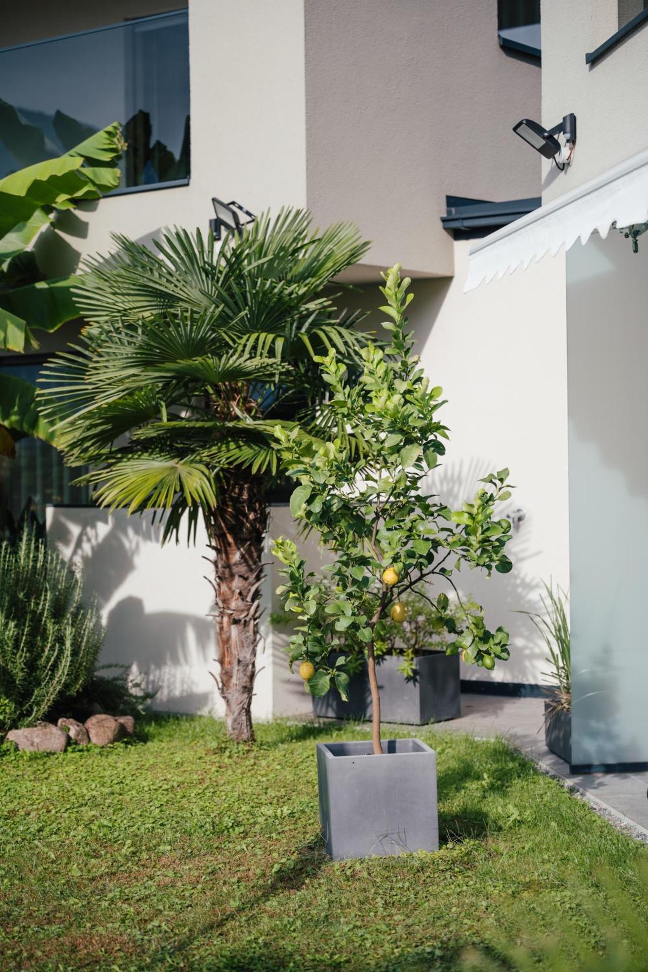 Garden Lodge غارغازون المظهر الخارجي الصورة